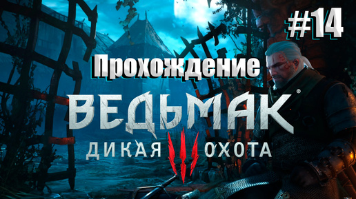 Ведьмак 3: Дикая охота #14 l Бронников играет l Иду по следам Цири и стал чемпионом в боях