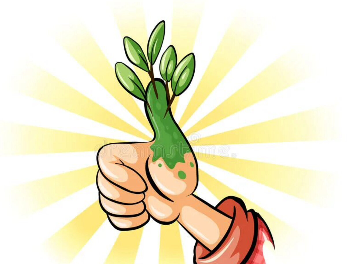 Изображение для иллюстрации из открытых ресурсов интернета.