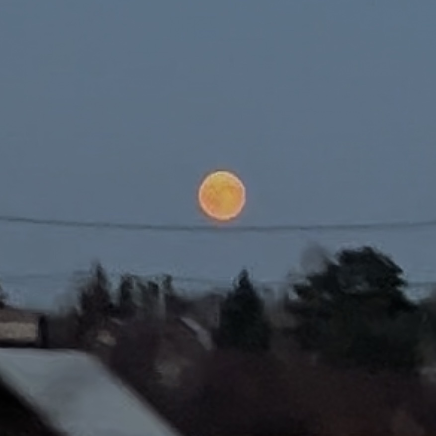 Луна вечером