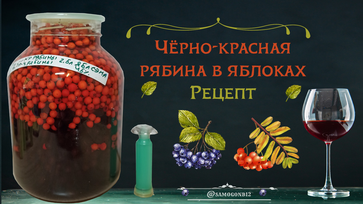 Чёрно-красная рябина в яблоках, рецепт. ©