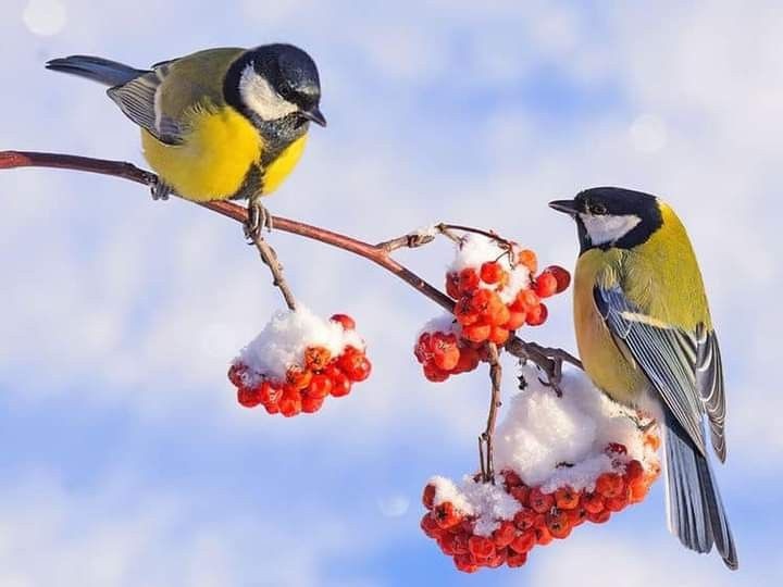 Изображение взято из пространства интернета