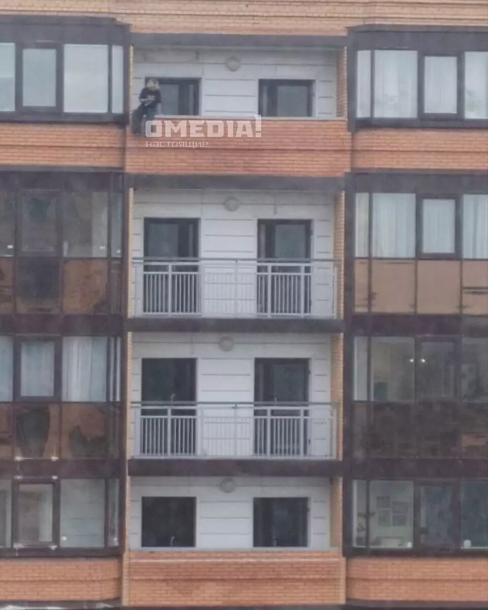     Источник: Omedia