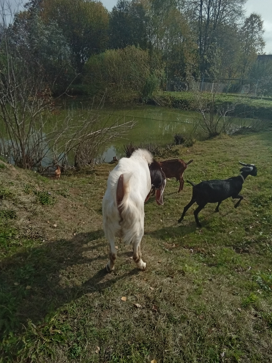 Фото автора.