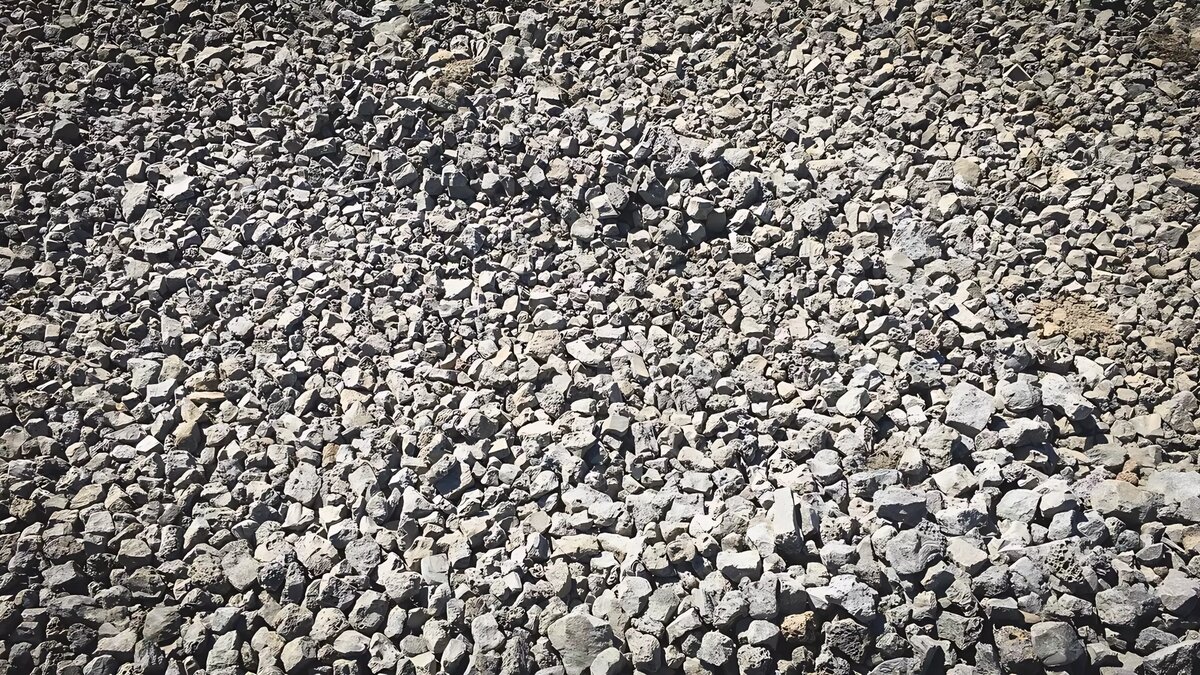     Автор: Александра Логинова Источник: 1MI