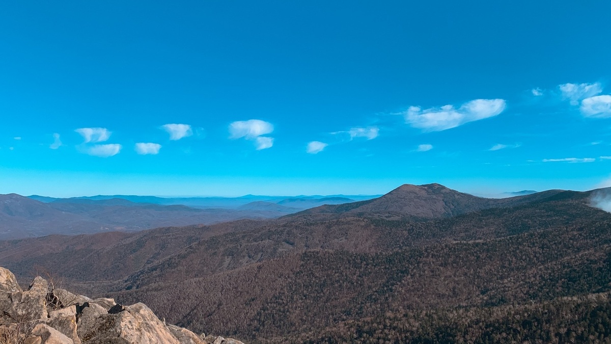     Источник: vostokmedia.com