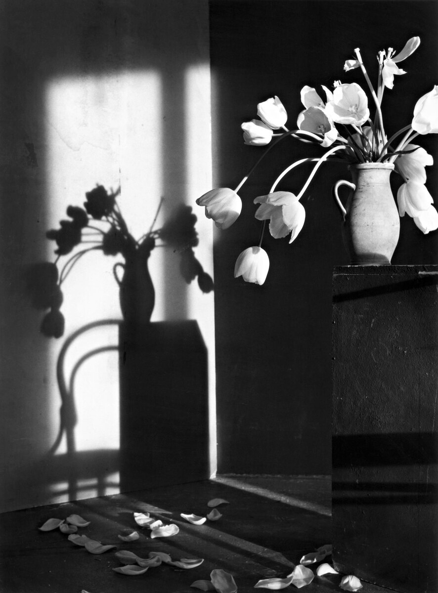 Из серии "Натюрморты"