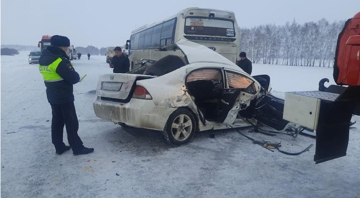 Фото: Следственный комитет региона 