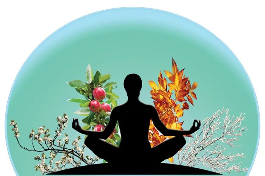 Гармония и благополучие. Из открытых источников