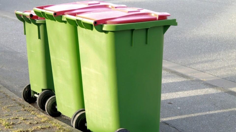    Мусорные баки. Источник: Pixabay