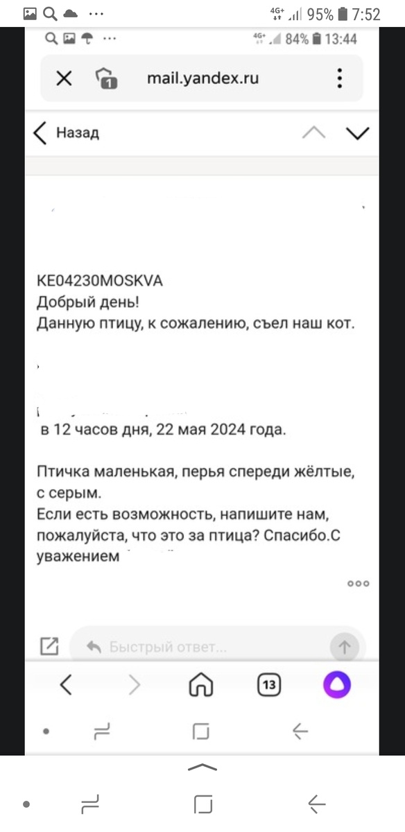 Если вы находите окольцованную  птицу, желательно сообщить орнитологам об этом.