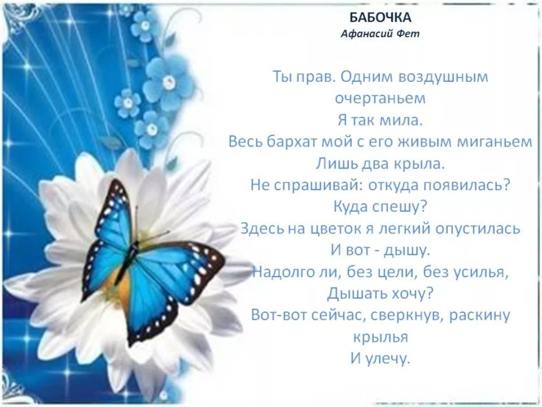 Из Интернета