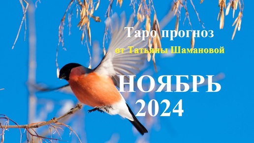 ОВЕН НОЯБРЬ 2024 года. ТАРО прогноз. События.. Татьяна Шаманова Что будет? ГЛАВНЫЕ СОБЫТИЯ..