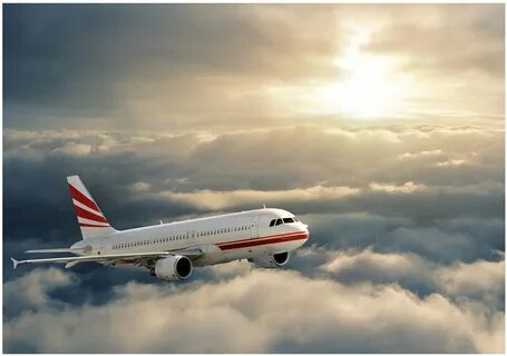 Иллюстрация из открытых источников.