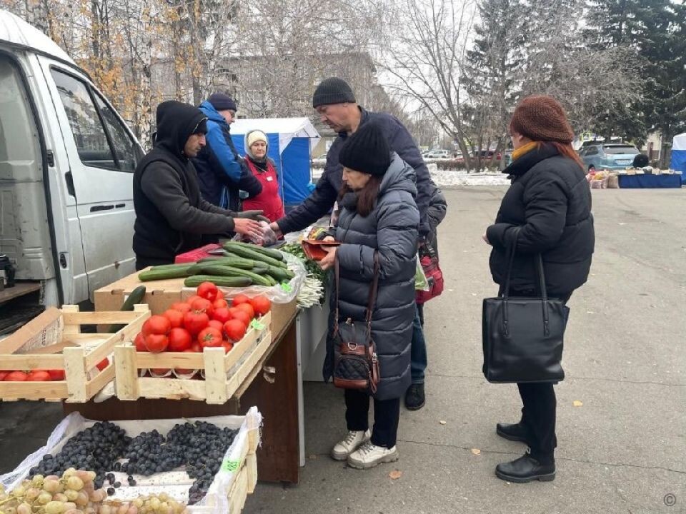    Продовольственные ярмарки в Барнауле. 19 октября. Источник: Barnaul.org