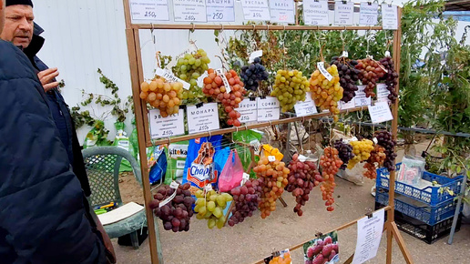 Поездка на рынок станица Варениковская | Купили и высадили саженцы винограда