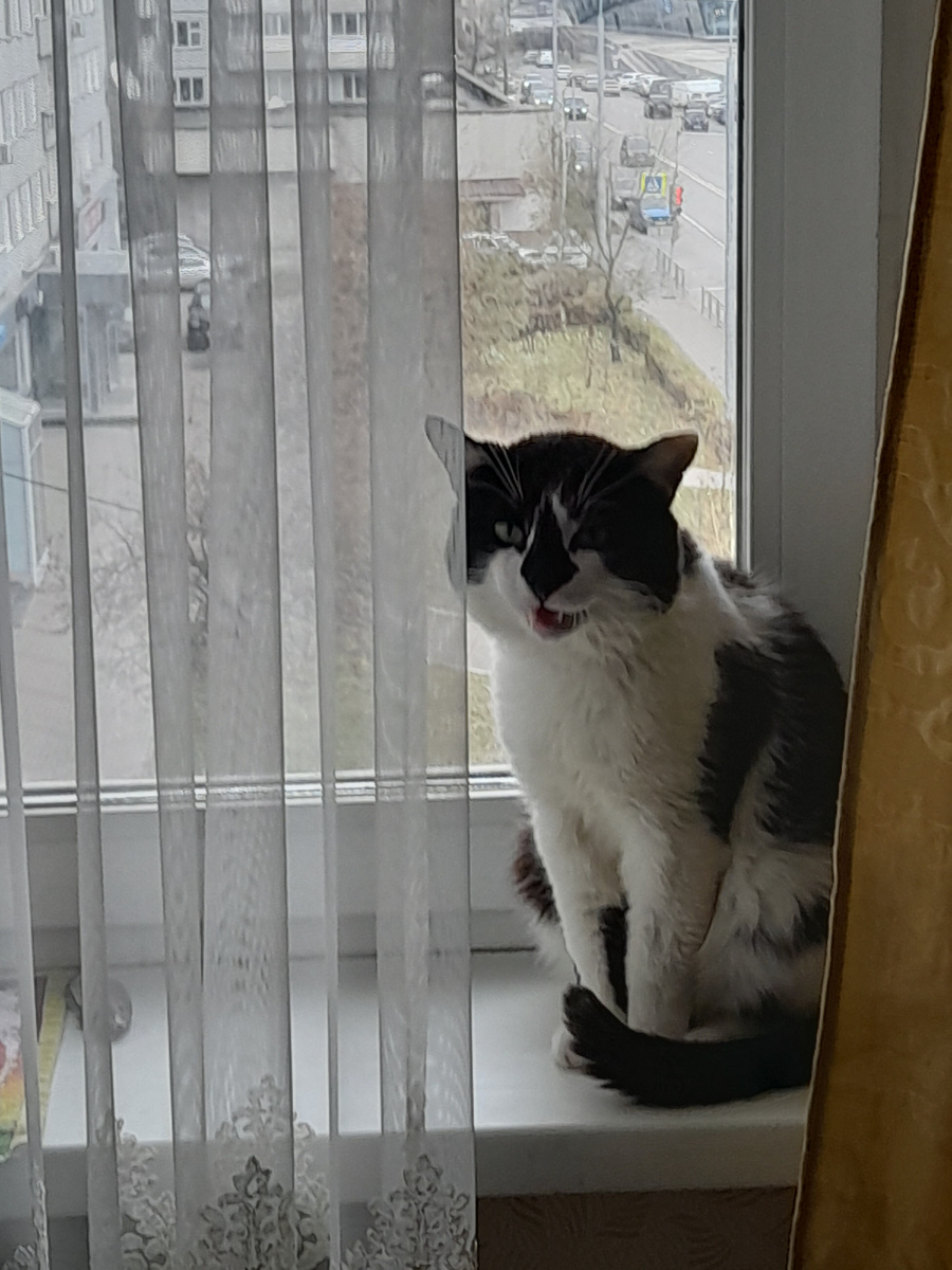 Фото автора. Есть хочет, надо зарабатывать)