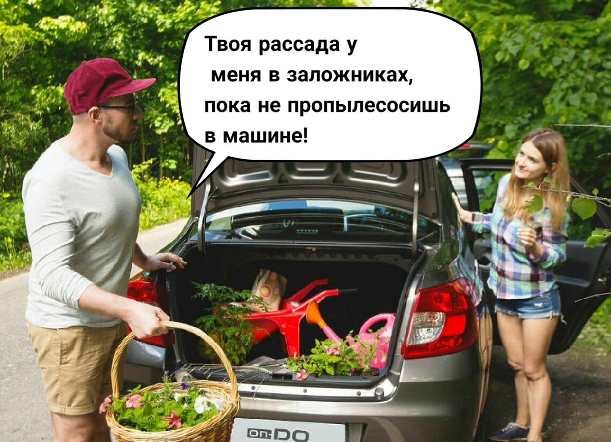 Фото из интернета, коллаж автора