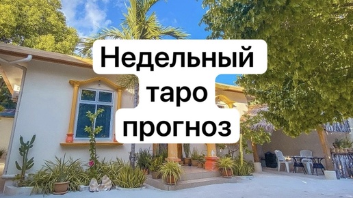 Недельный ТАРО прогноз❤️