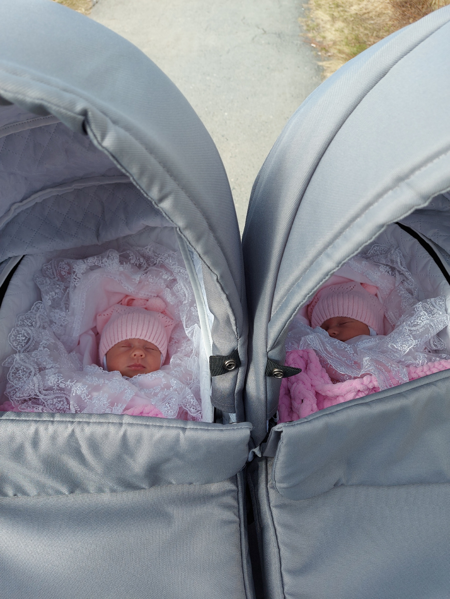 Первая прогулка