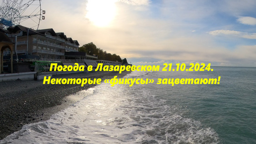 Погода в Лазаревском 21.10.2024. 