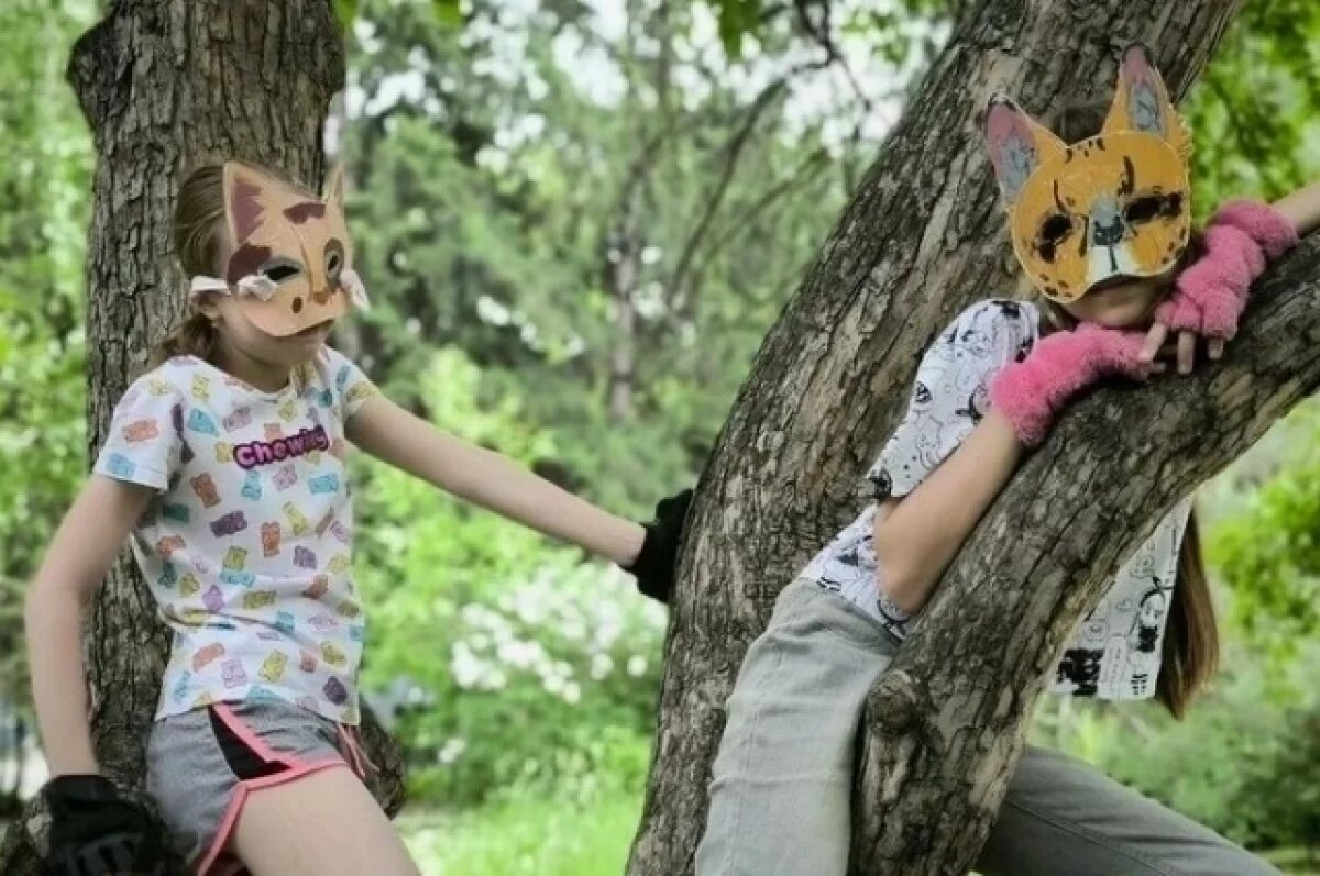    Волгоградцы предлагают штрафовать квадроберов отправлять их к психиатрам