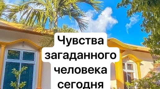 Чувства загаданного человека сегодня ❤️🔥таро ответ