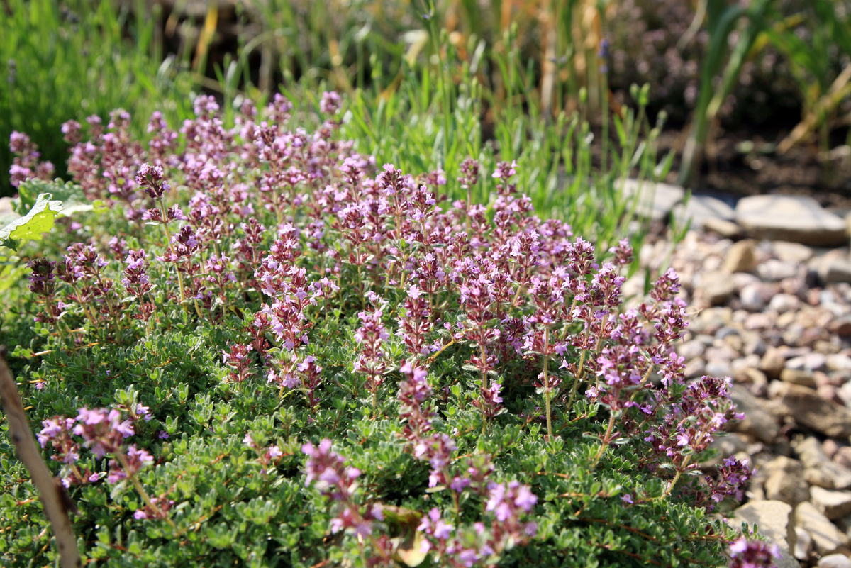 Источник фото: Canva