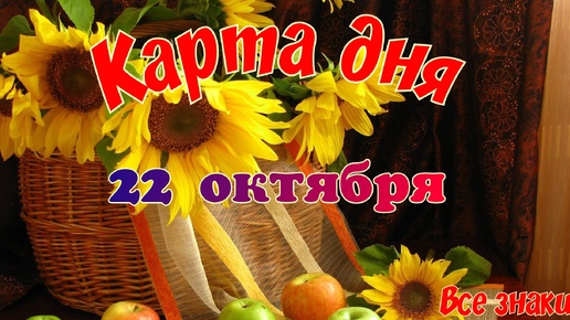 Карта дня🍁22 октября🌞 Пасьянс. Тайм-код в описании🦢