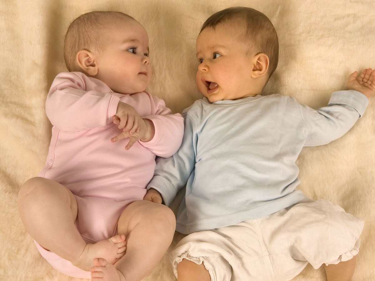 Фото: Яндекс картинки 