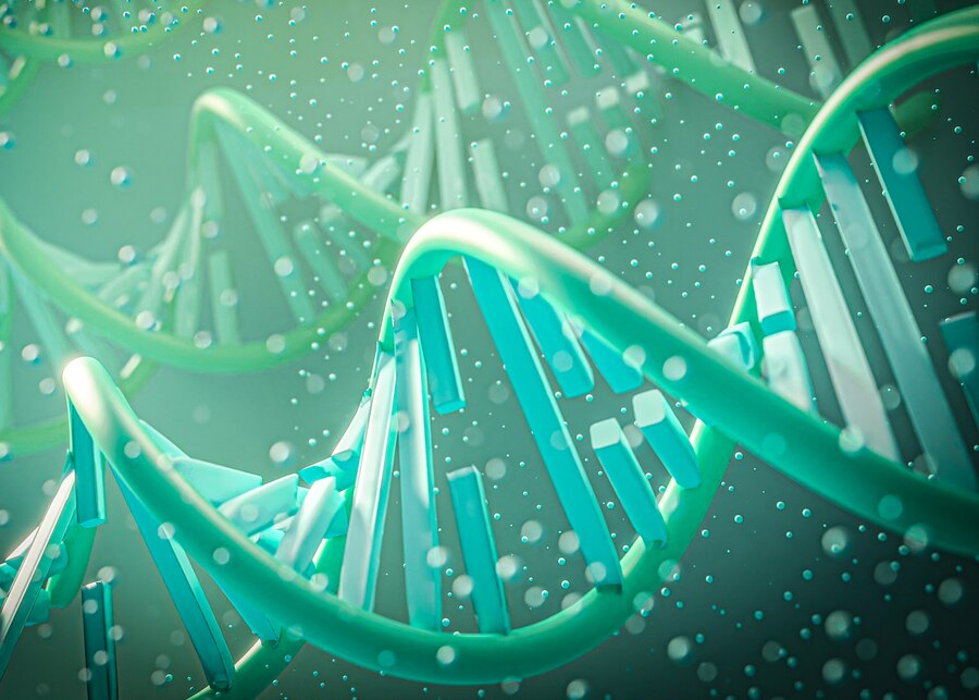 Фото: freepik/freepik