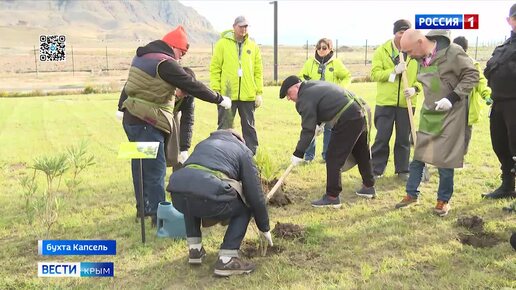 Как в Крыму проходит масштабный «Зелёный фестиваль»