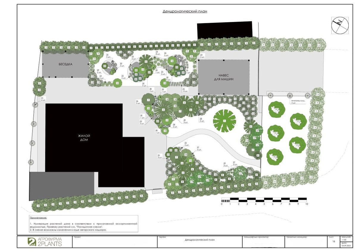 Пример дендрологического плана