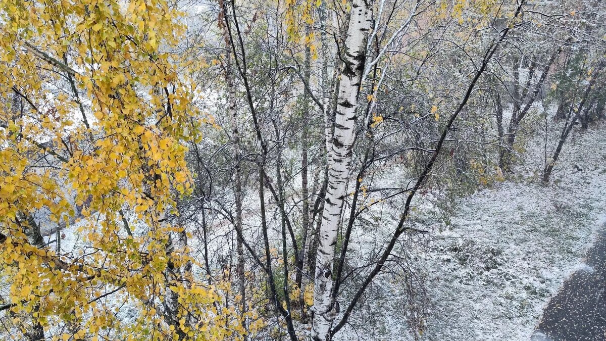     Источник: newsnn.ru