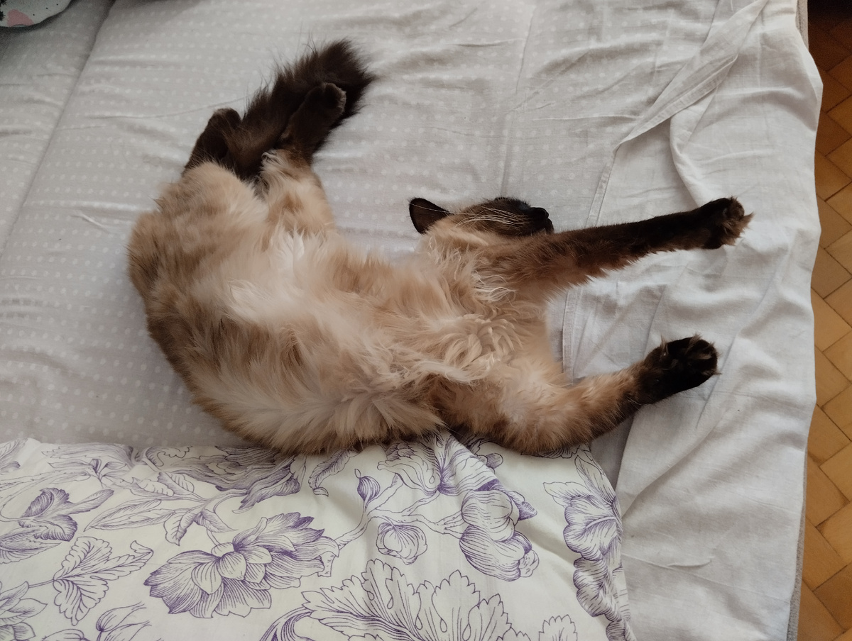 Это Пух. Приготовилась к денежному потоку