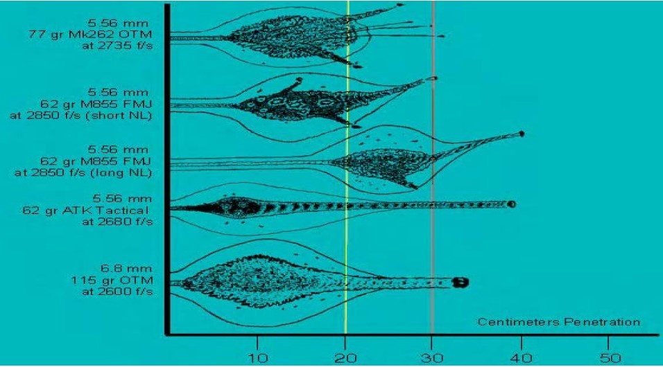 Рис. 2. Сравнение профилей каналов патронов калибра 5,56 мм и 6,8 SPC. 20 сантиметров представляют среднюю глубину грудной клетки человека. 30 сантиметров представляют минимальную рекомендуемую проникающую способность для военного патрона. 