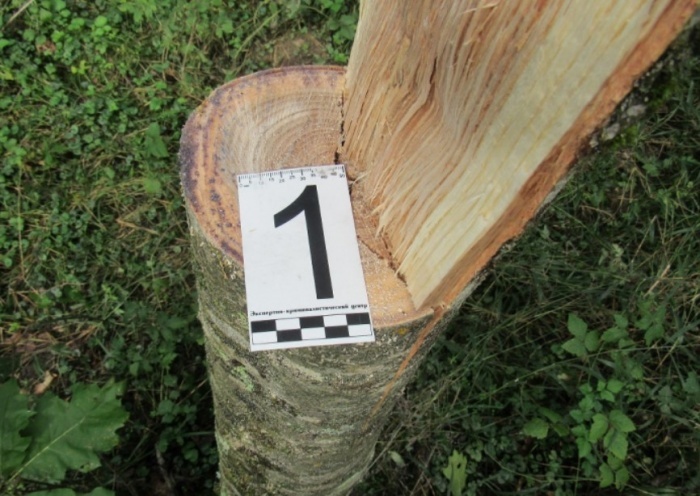    ГУ МВД России по Краснодарскому краю