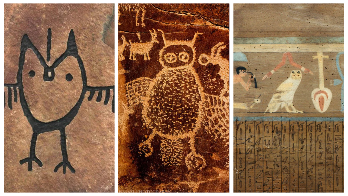 Самое древнее наскальное изображение совы найдено во Франции. Его возраст 36 тысяч лет