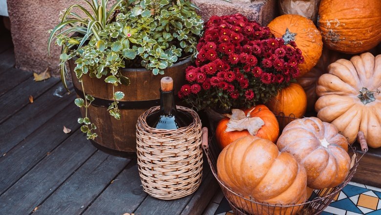 Источник: Image by Freepik