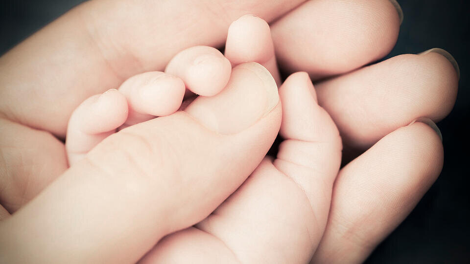 Фото: © Global Look Press/Lars Hallstrom/imageBROKER.com (из архива)