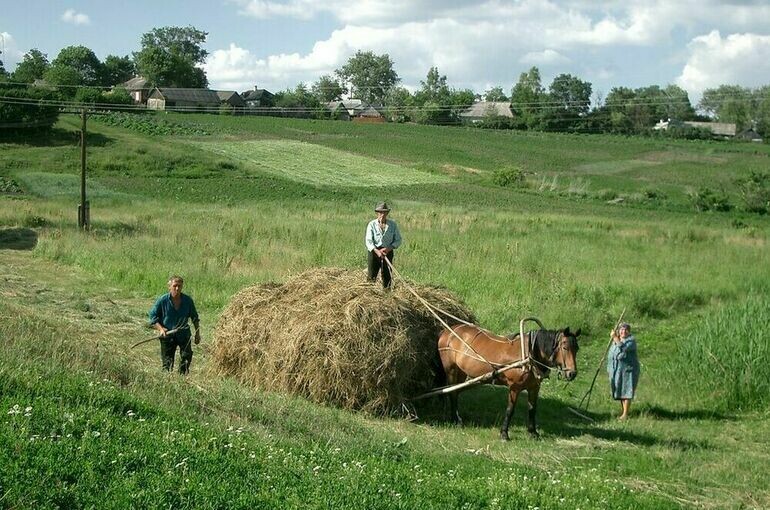   Игорь Самохвалов/ПГ