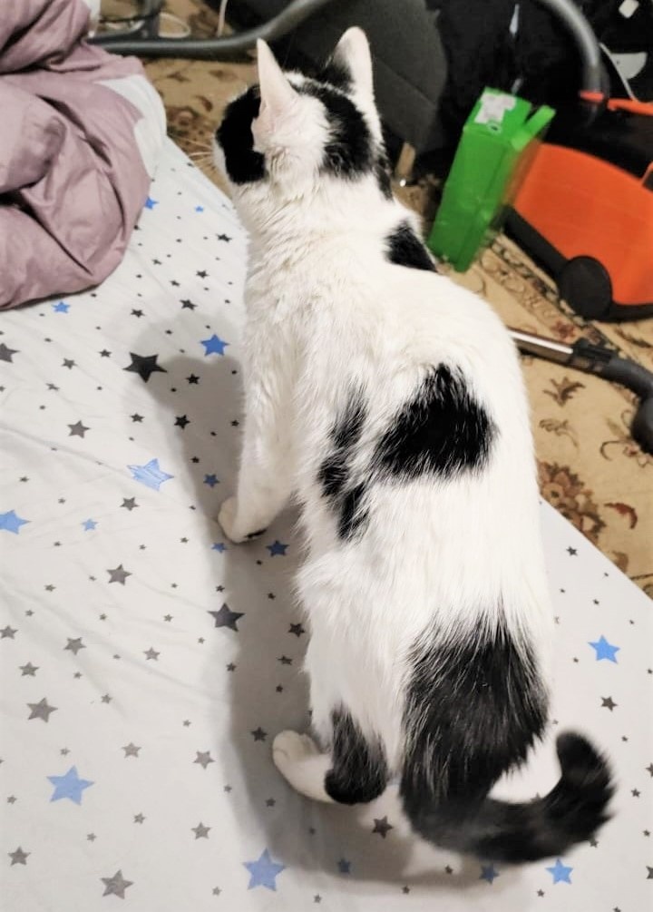 За фото Синги в гостях благодарю АЛЕКСЕЯ)