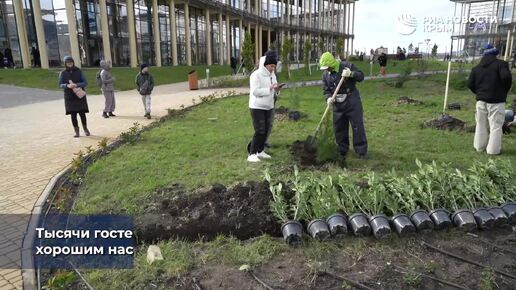 Знаменитости озеленяют Крым без СМС и регистрации