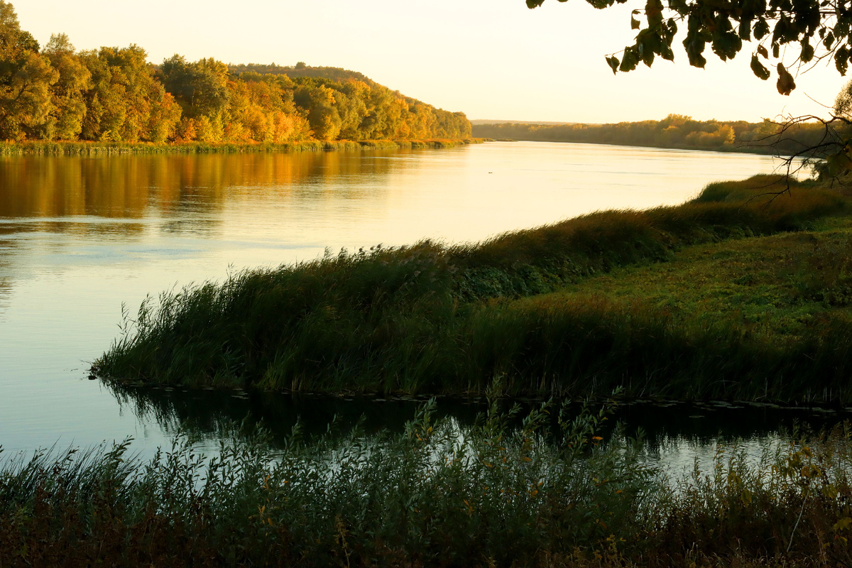 река Толучеевка впадает в Дон. Закат