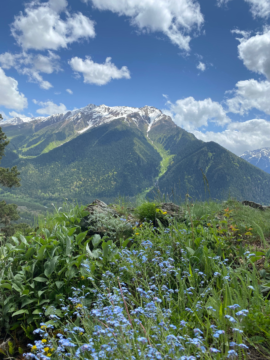 Вид на хребет Морх-сырты.
