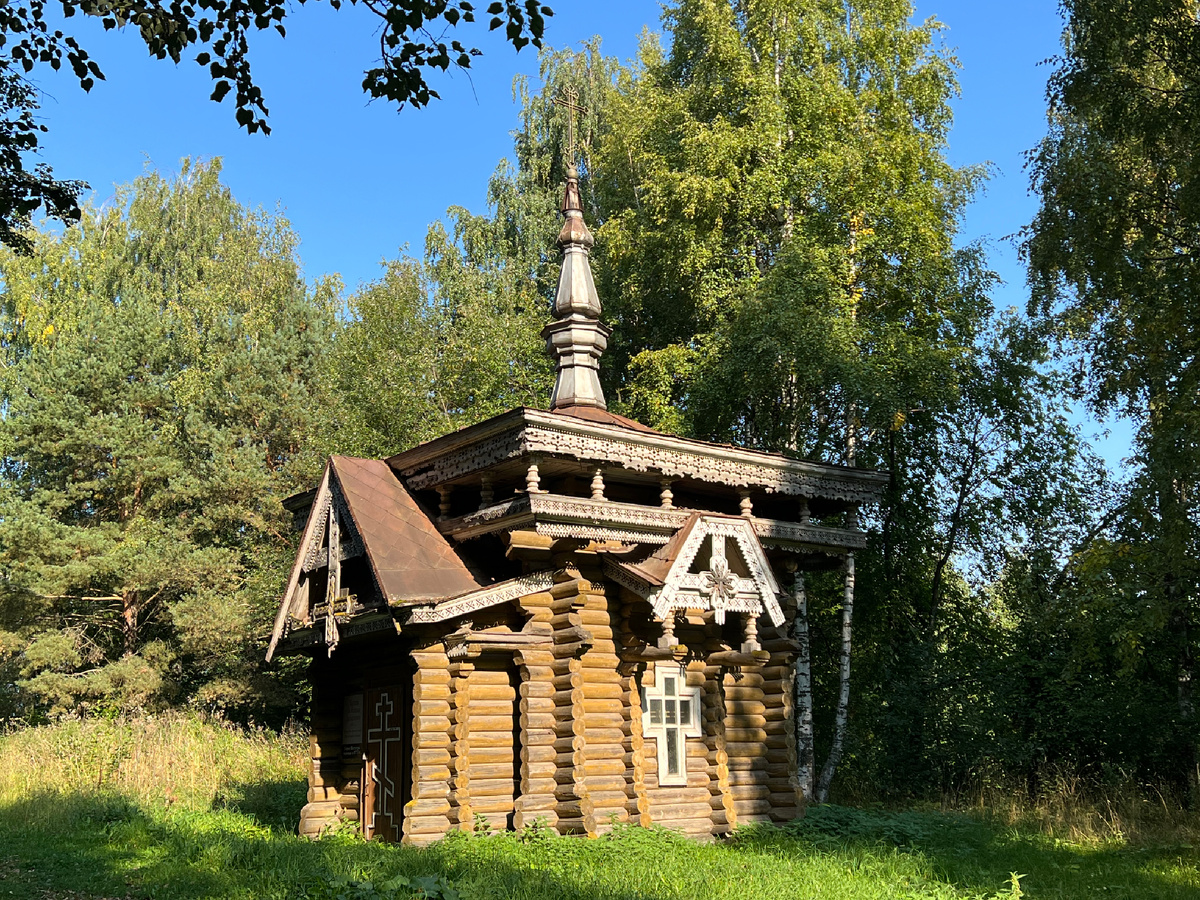 Наследие прошлого в дереве 