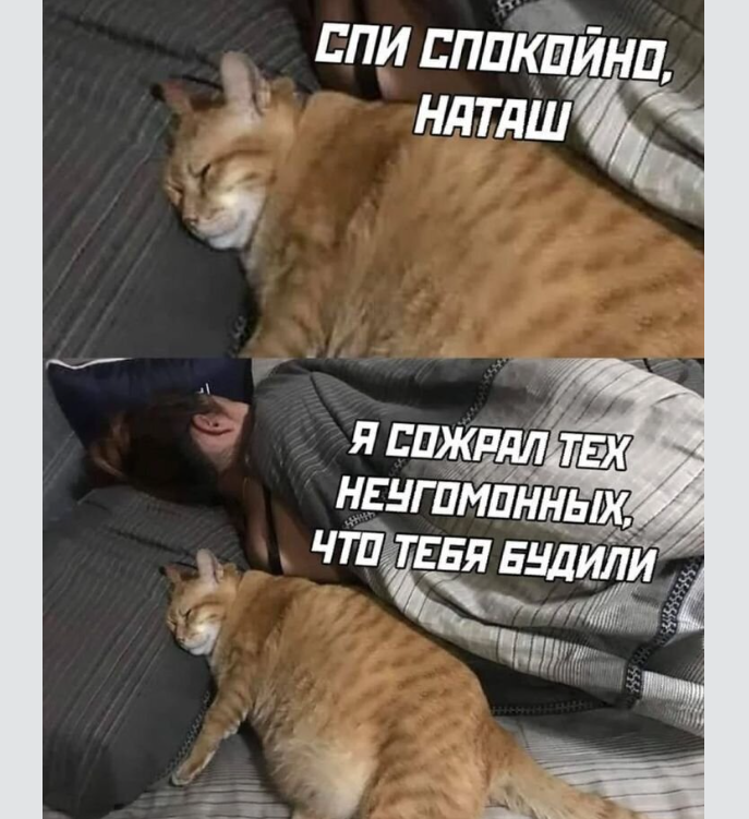 Мемы Сашок Фокин - Рисовач .Ру