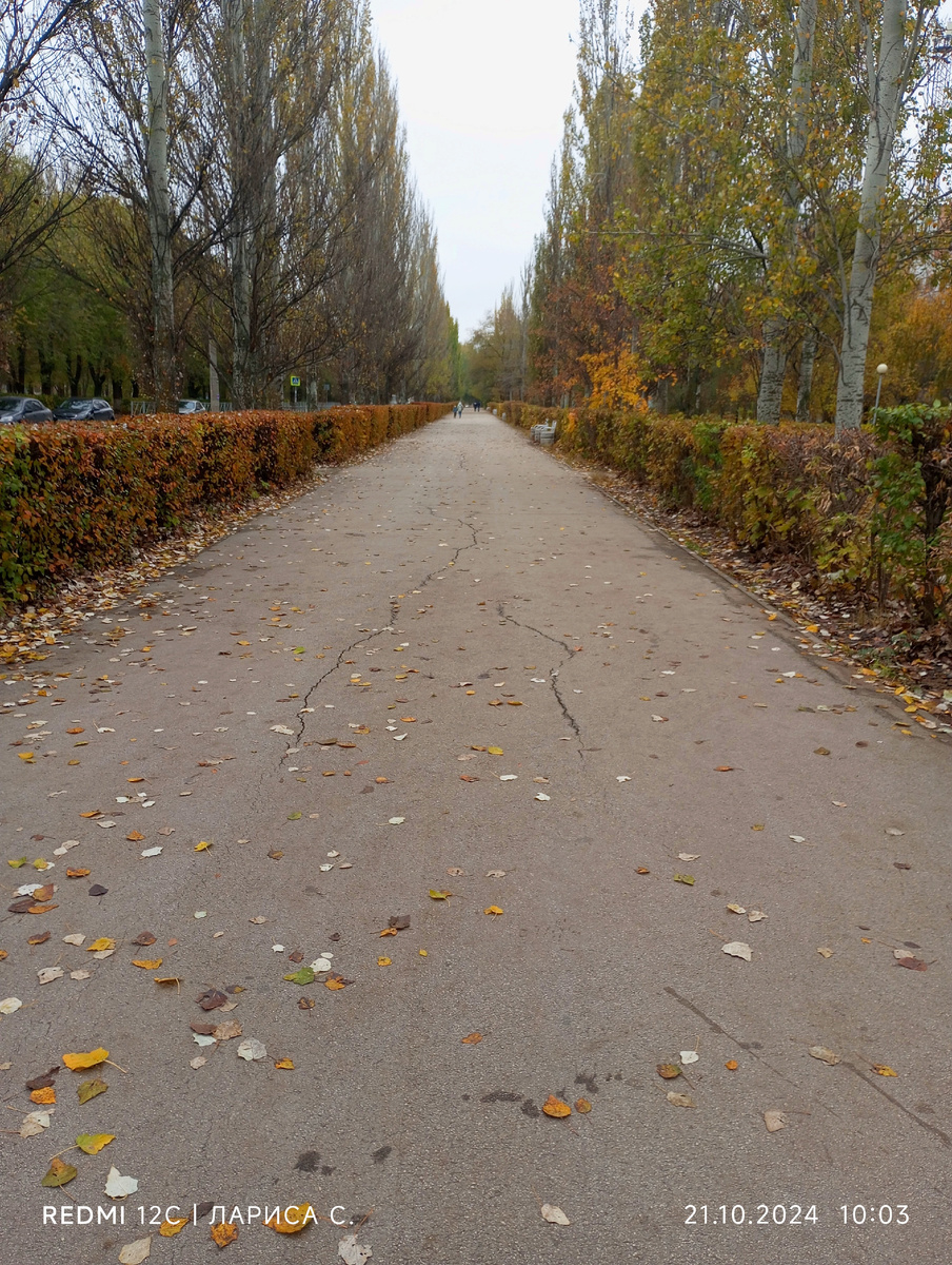 Бульвар Курчатова
