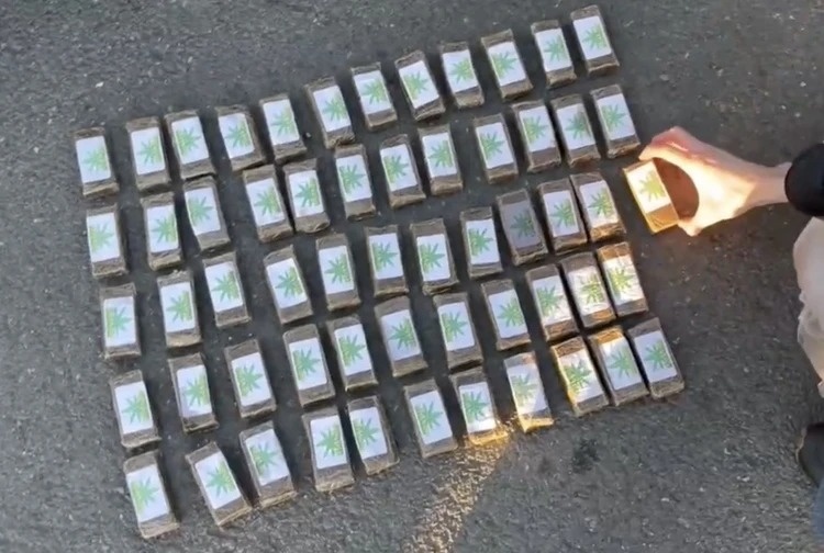 Фото: скриншот видео 