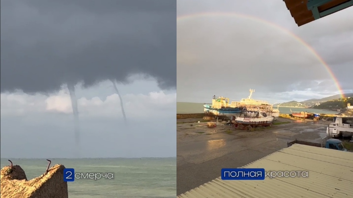    Фото: Telegram/fishing sochi