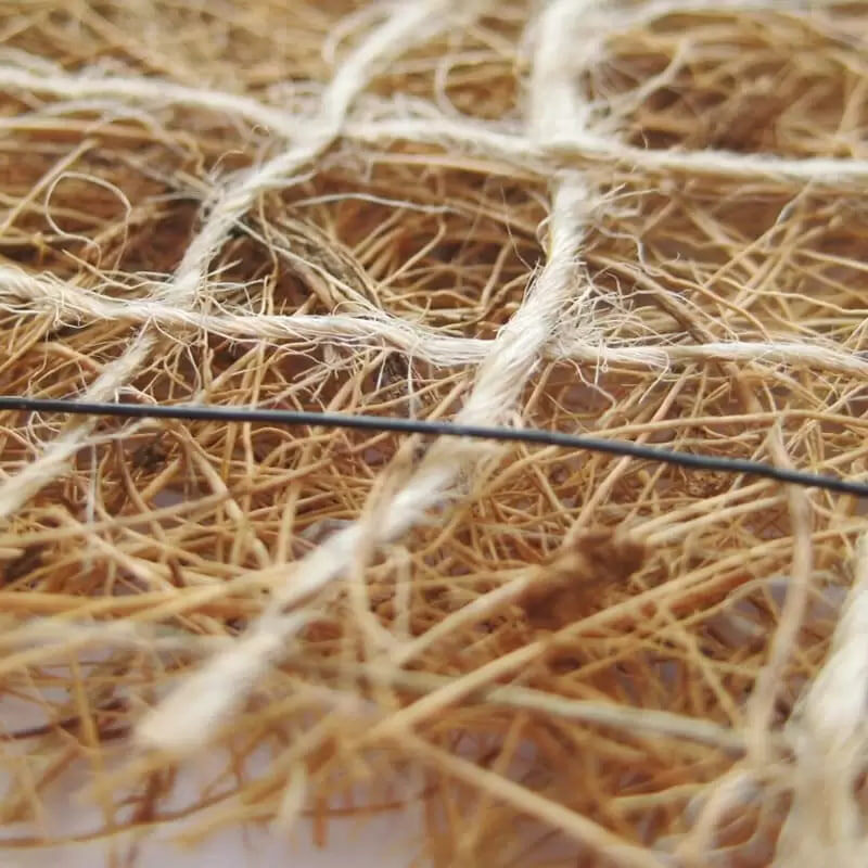 Структура биомата.